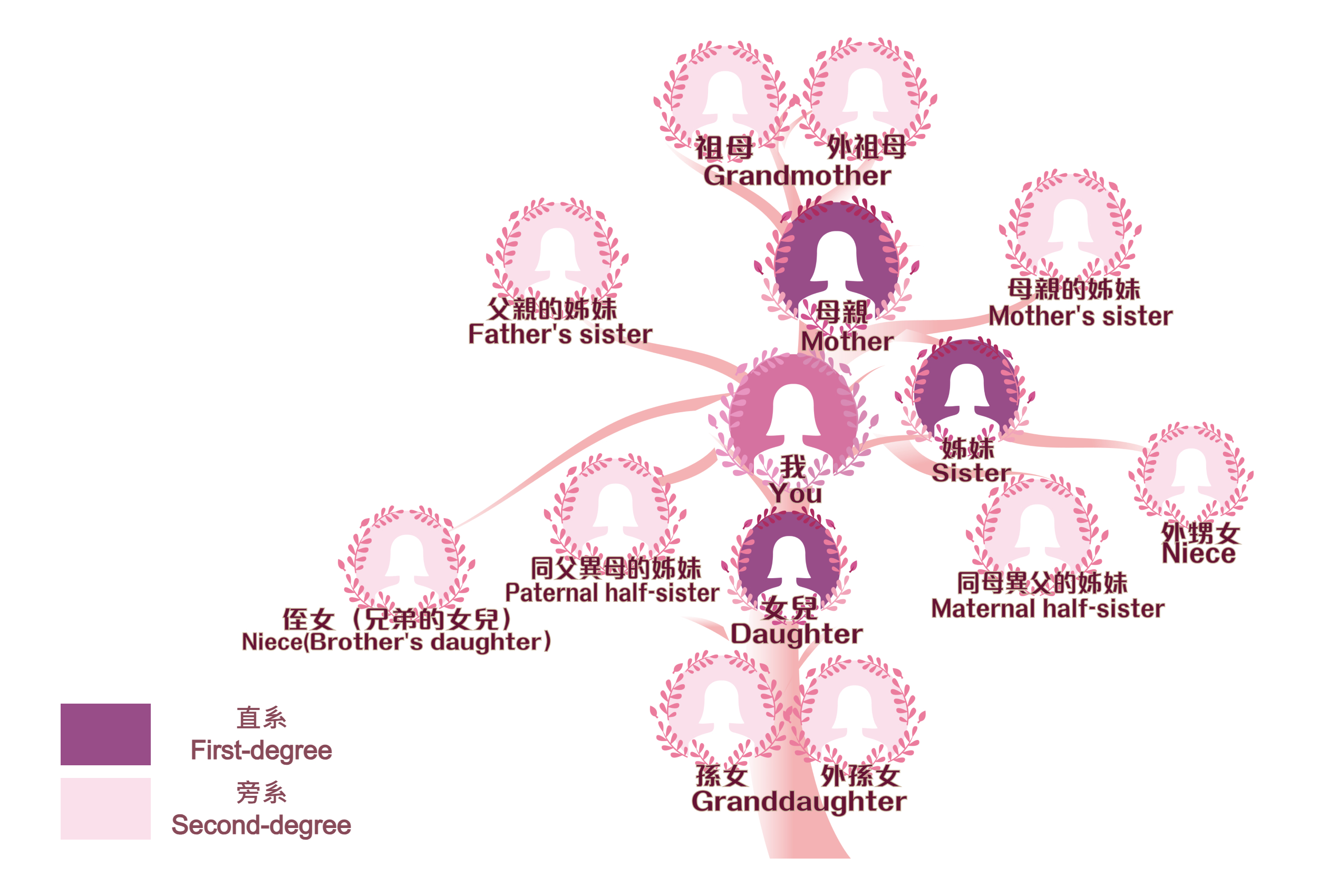 直系女性亲属 / 旁系女性亲属